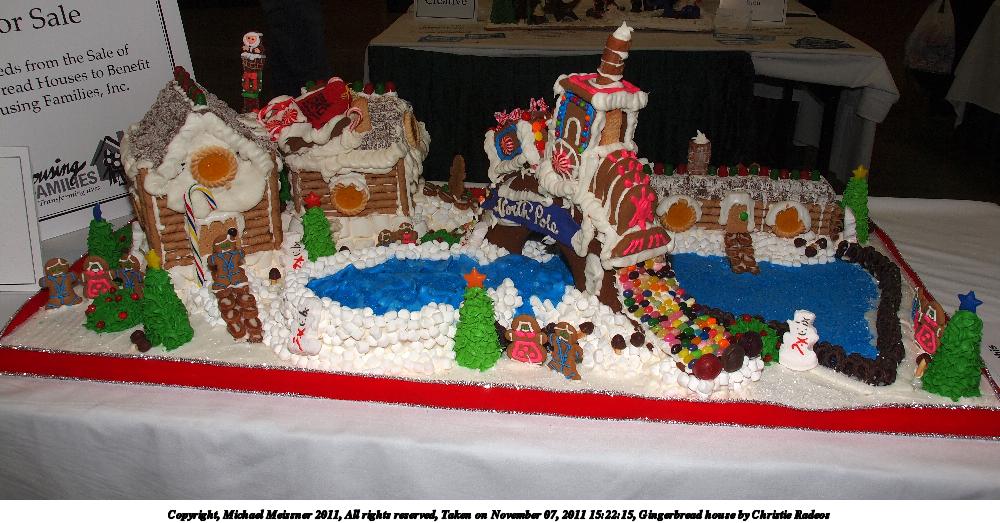 Gingerbread house by Christie Radeos