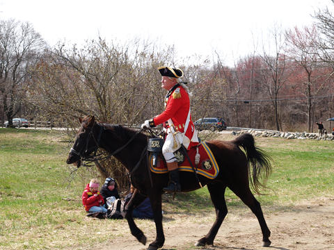 British officer with horse