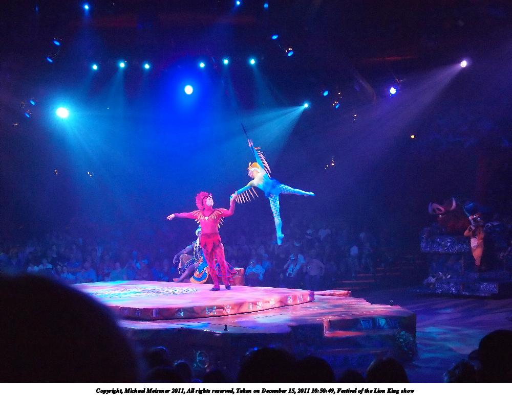 Festival of the Lion King show #3