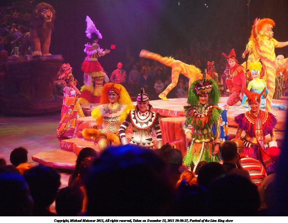 Festival of the Lion King show #7