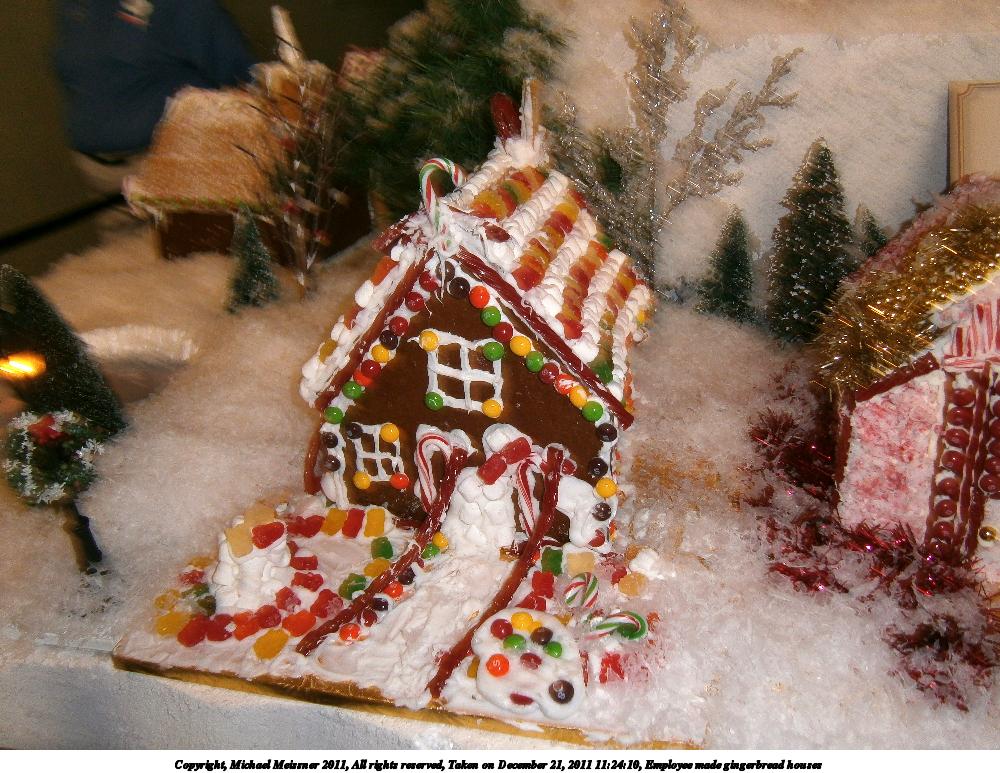 Employee made gingerbread houses #4