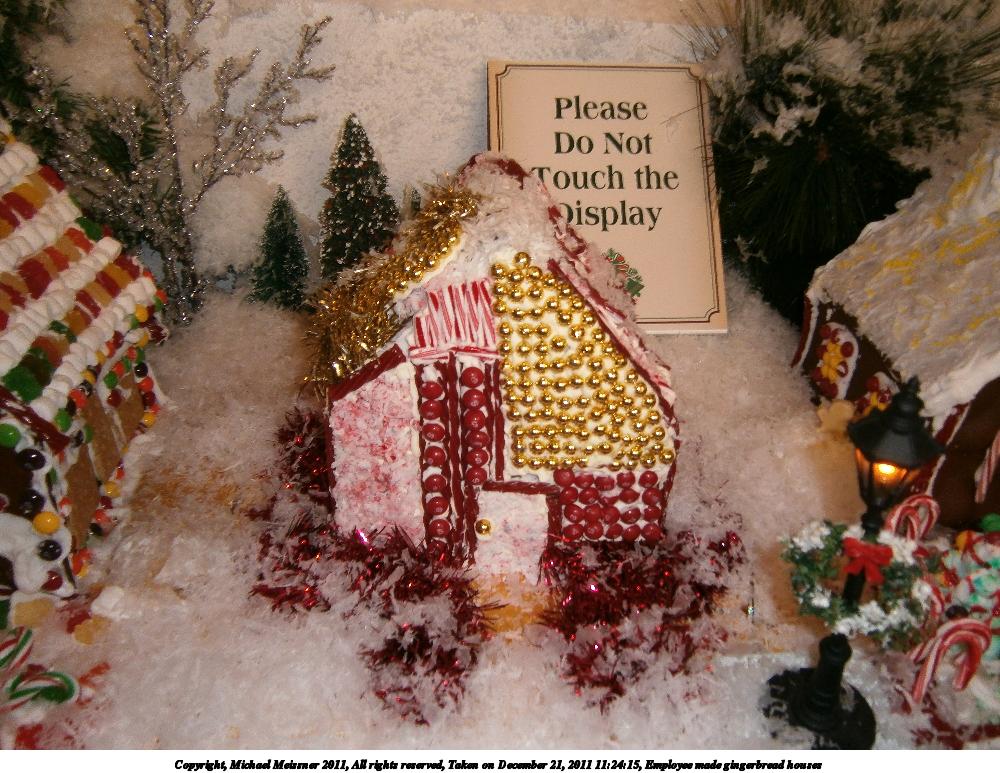 Employee made gingerbread houses #5