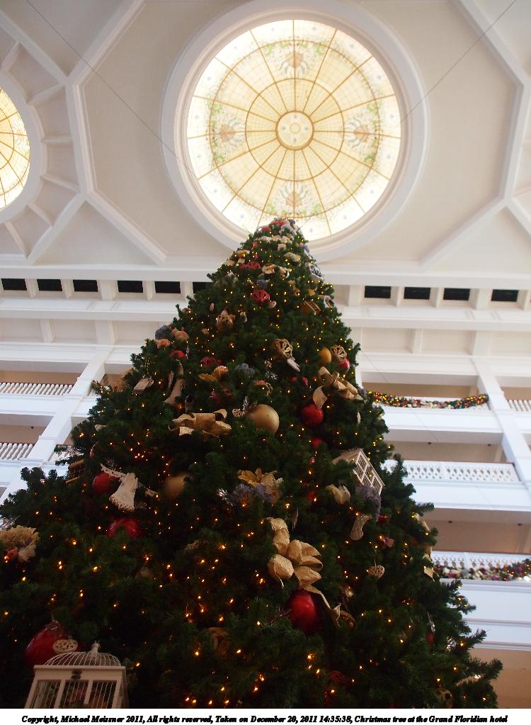 Christmas tree at the Grand Floridian hotel #3