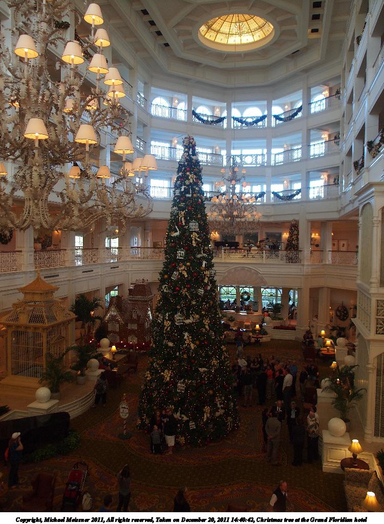 Christmas tree at the Grand Floridian hotel #5