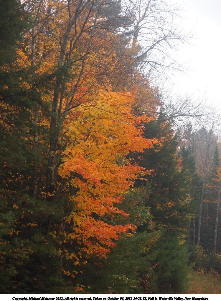 Fall in Waterville Valley, New Hampshire #9