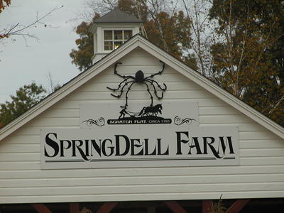 Springdell farm #4