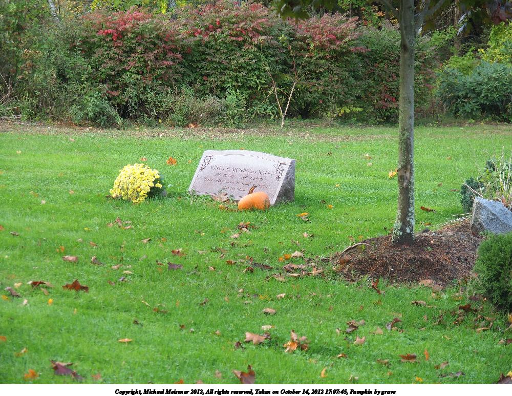 Pumpkin by grave