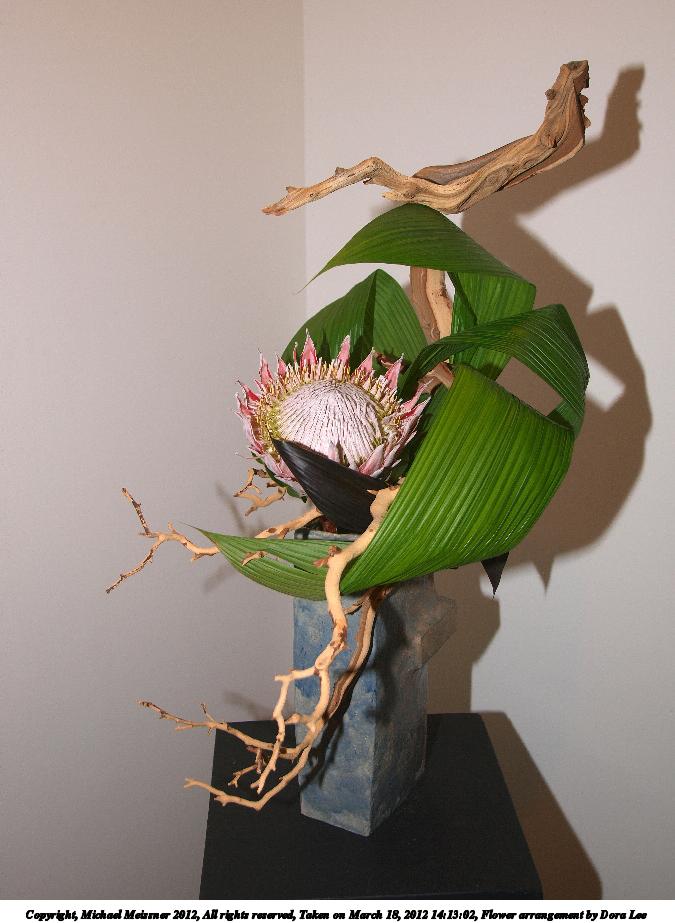 Flower arrangement by Dora Lee