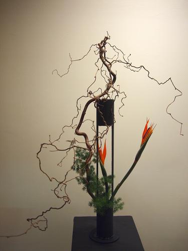Flower arrangement by Gilbert Moore