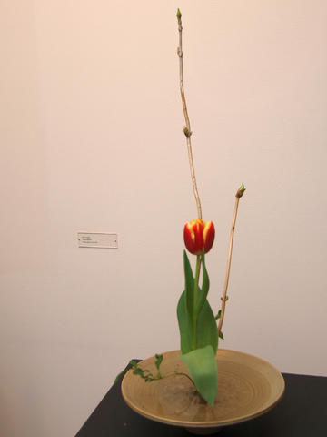 Flower arrangement by Carolyn Cox-Flanagan