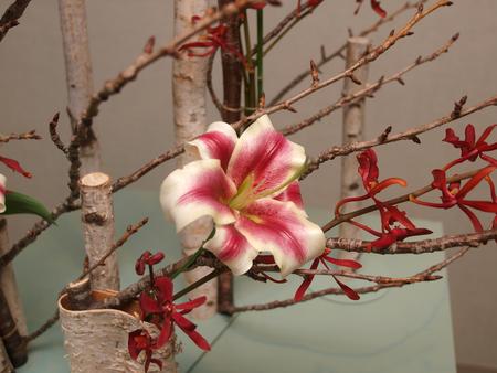 Lilies and birch #2