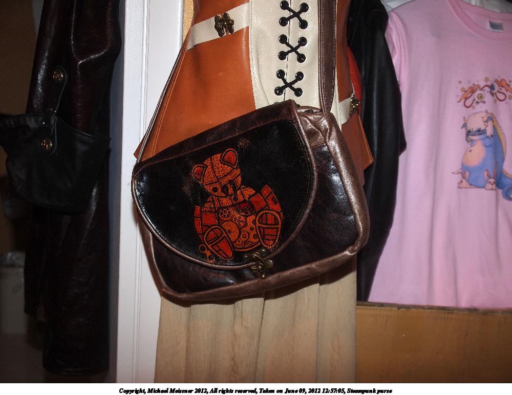 Steampunk purse