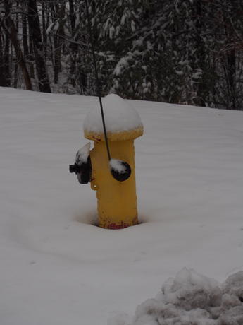 Hydrant in winter