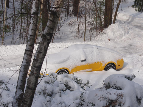 Yellow mustang in snow