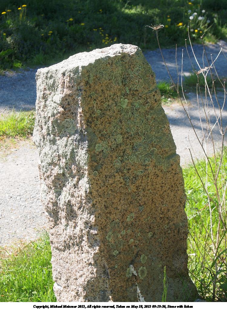 Stone with lichen