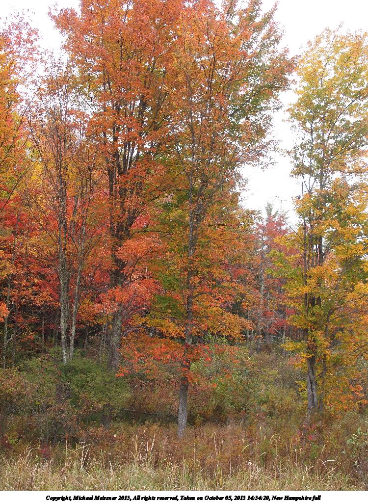 New Hampshire fall
