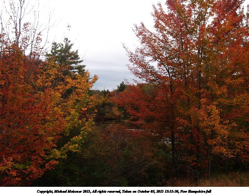 New Hampshire fall #7