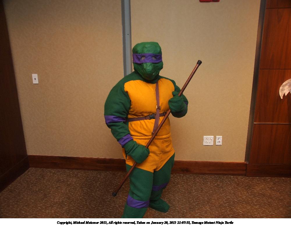 Teenage Mutant Ninja Turtle #3