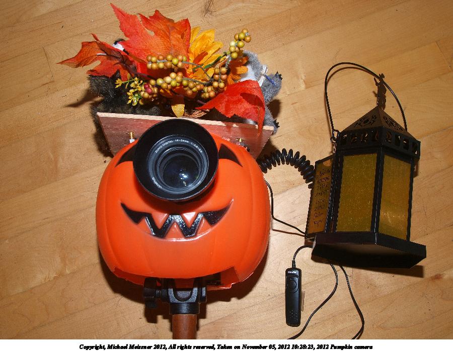 2012 Pumpkin camera