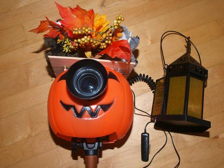 2012 Pumpkin camera