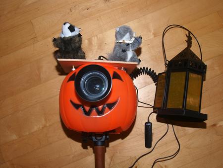 2012 Pumpkin camera #2