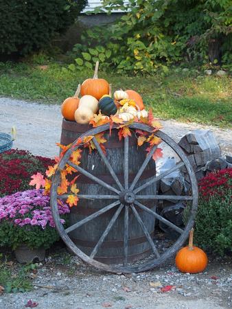 Fall at Springdell Farm #4