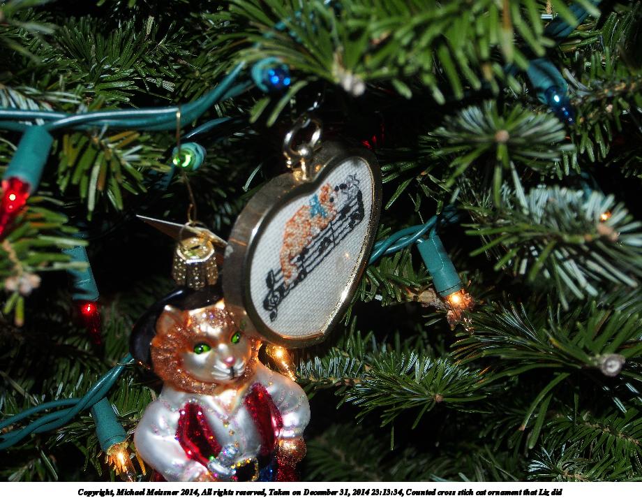 Counted cross stich cat ornament that Liz did