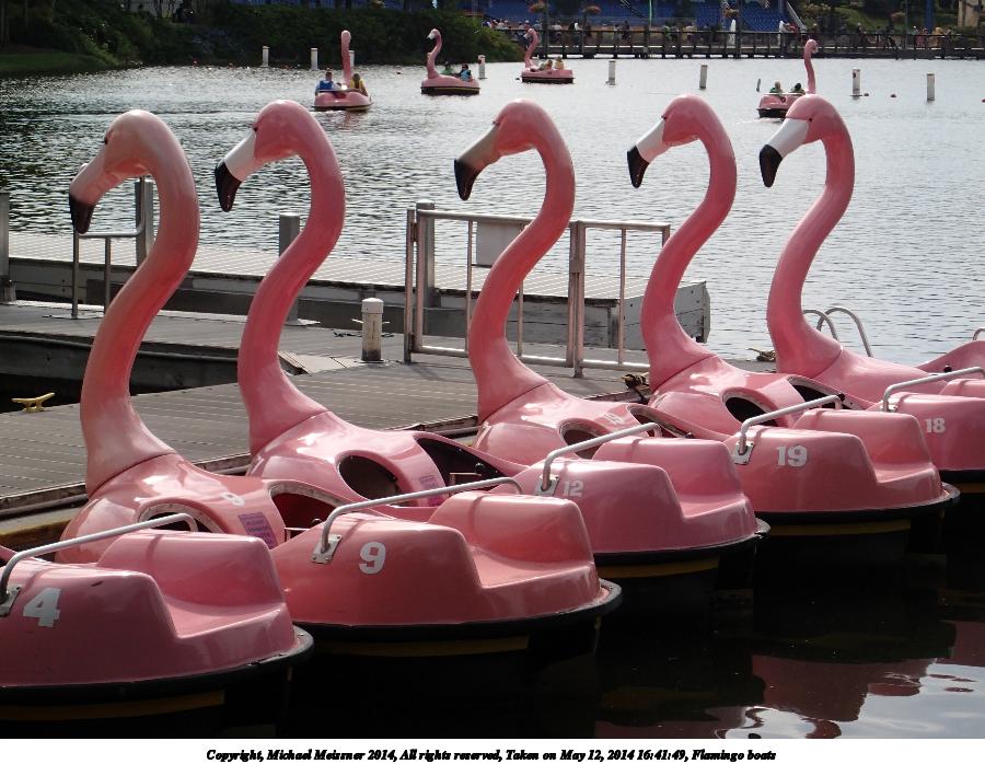 Flamingo boats