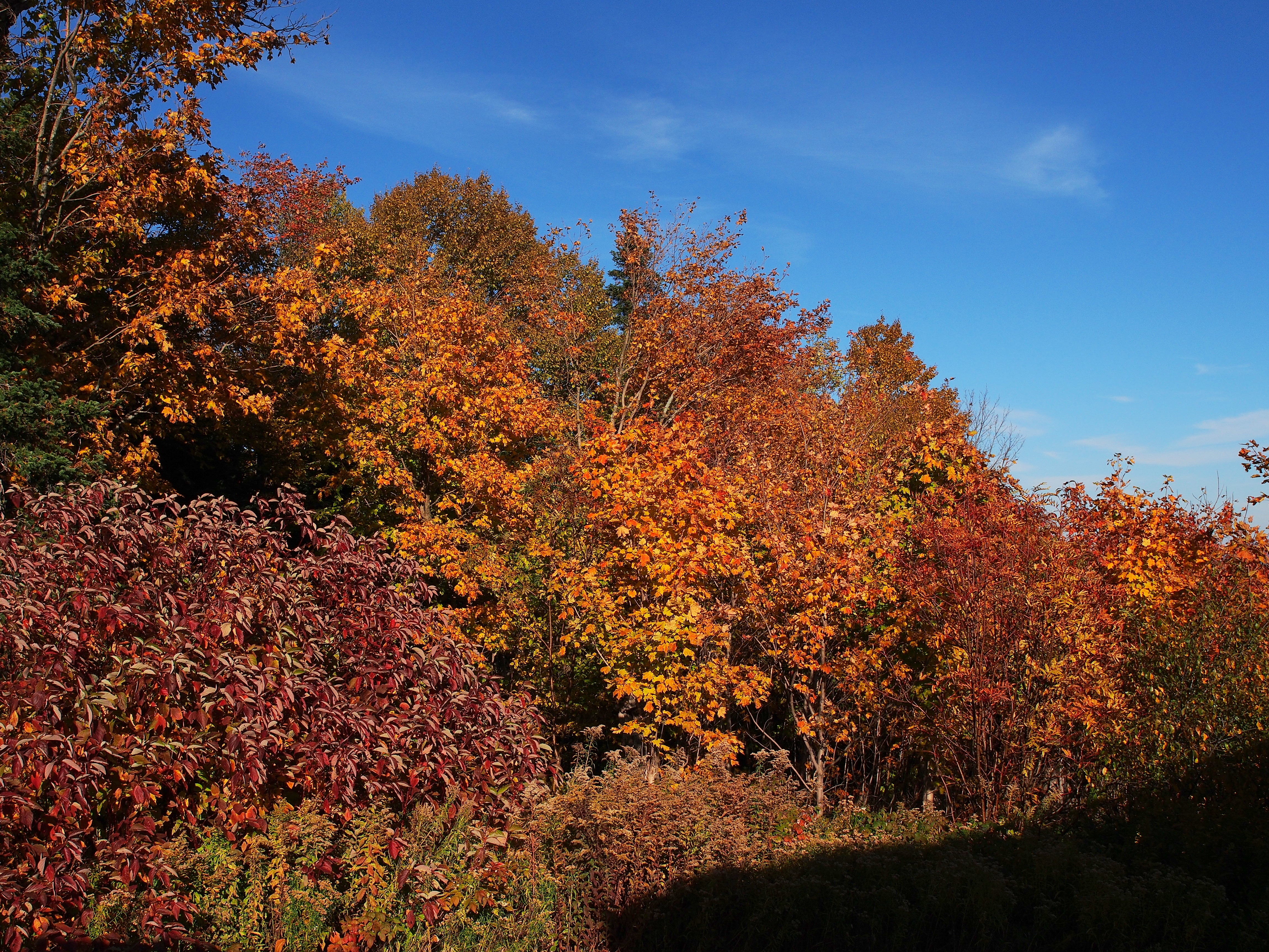New Hampshire fall #5