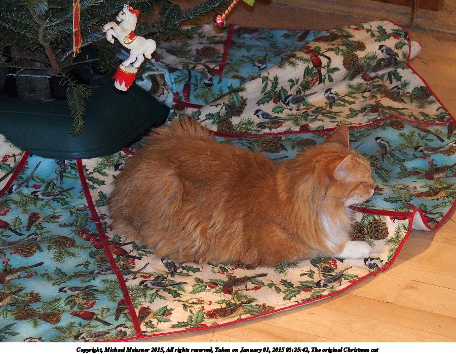 The original Christmas cat #2