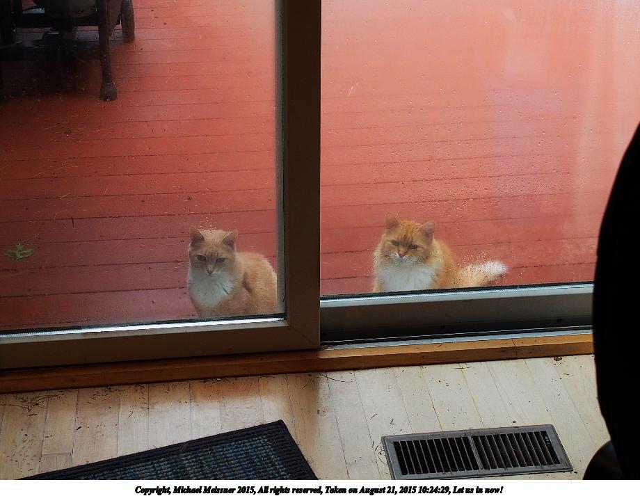 Let us in now!