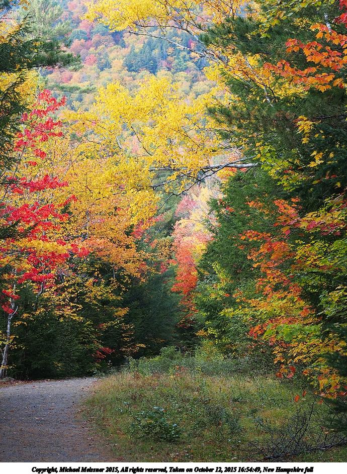 New Hampshire fall #20