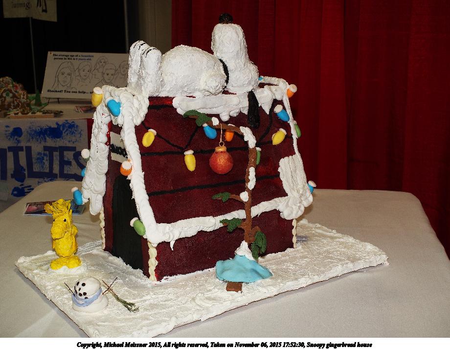 Snoopy gingerbread house #7