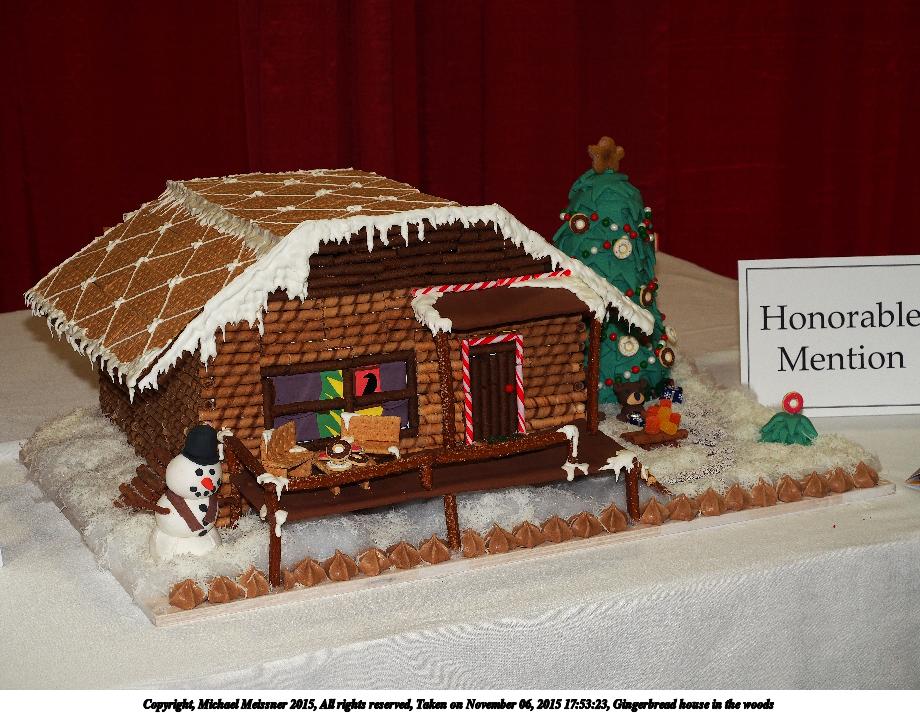 Gingerbread house in the woods #3