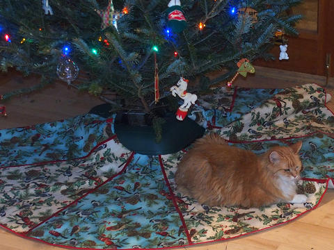 The original Christmas cat