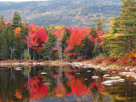 Fall on the Kancamagus Scenic Byway