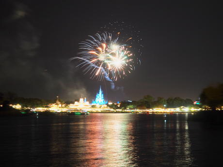 Wishes fireworks (taken from Ferryworks Fireworks Cruise)