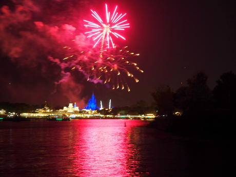 Wishes fireworks (taken from Ferryworks Fireworks Cruise) #3