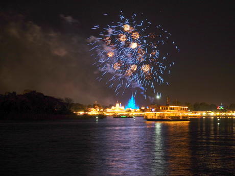 Wishes fireworks (taken from Ferryworks Fireworks Cruise) #5