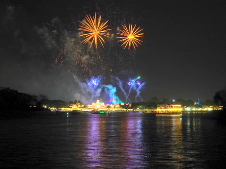 Wishes fireworks (taken from Ferryworks Fireworks Cruise) #6