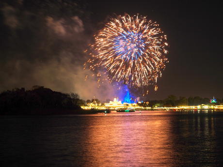 Wishes fireworks (taken from Ferryworks Fireworks Cruise) #7