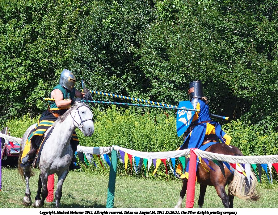 The Silver Knights jousting company #17