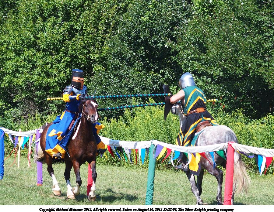 The Silver Knights jousting company #19