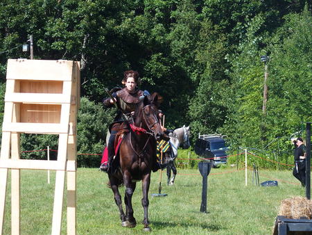 The Silver Knights jousting company #3
