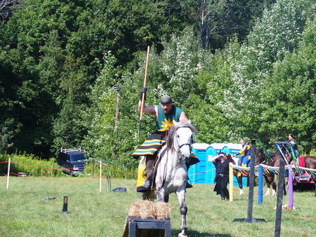 The Silver Knights jousting company #6