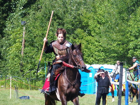 The Silver Knights jousting company #7