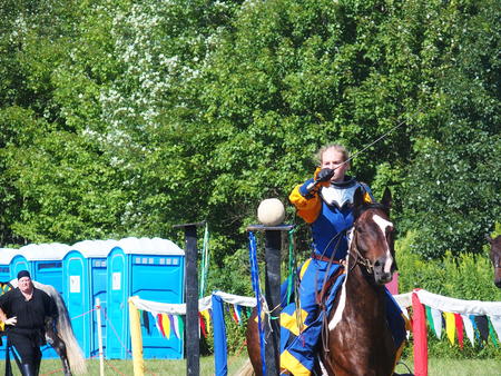 The Silver Knights jousting company #11