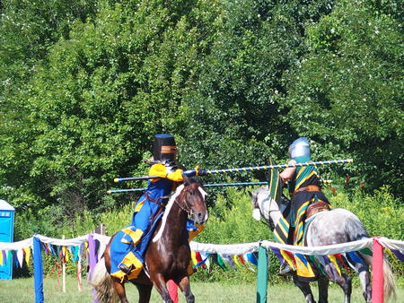 The Silver Knights jousting company #16