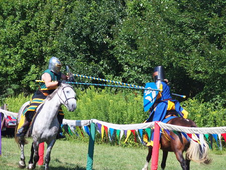 The Silver Knights jousting company #17