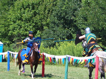 The Silver Knights jousting company #18